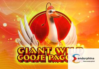 Giant Wild Goose Pagoda